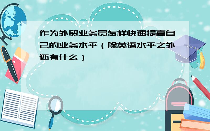 作为外贸业务员怎样快速提高自己的业务水平（除英语水平之外还有什么）