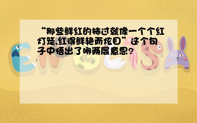 “那些鲜红的柿过就像一个个红灯笼,红得鲜艳而炫目”这个句子中悟出了哪两层意思?