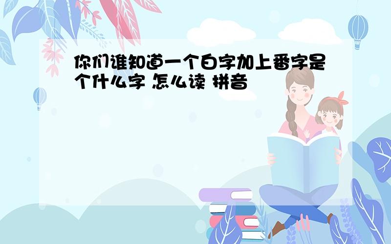 你们谁知道一个白字加上番字是个什么字 怎么读 拼音