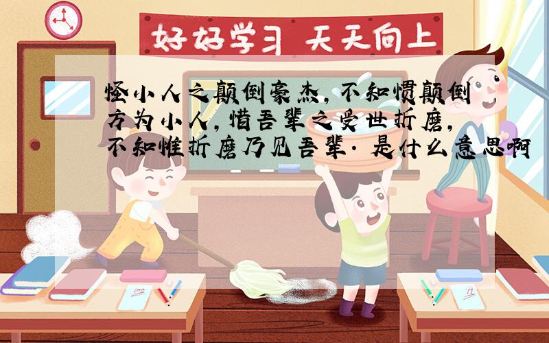 怪小人之颠倒豪杰,不知惯颠倒方为小人,惜吾辈之受世折磨,不知惟折磨乃见吾辈. 是什么意思啊