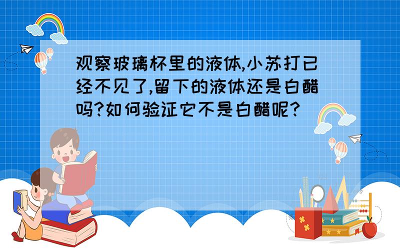 观察玻璃杯里的液体,小苏打已经不见了,留下的液体还是白醋吗?如何验证它不是白醋呢?