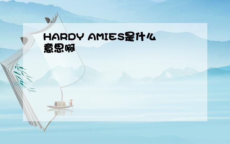 HARDY AMIES是什么意思啊