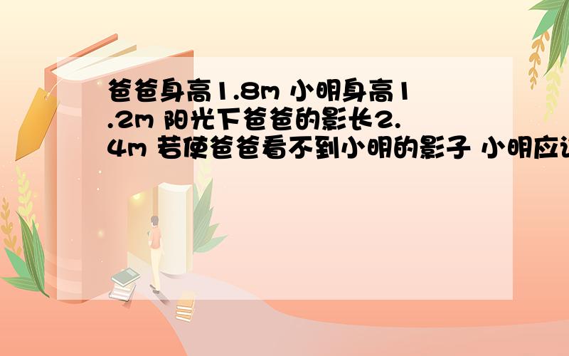 爸爸身高1.8m 小明身高1.2m 阳光下爸爸的影长2.4m 若使爸爸看不到小明的影子 小明应该站在哪里?与爸爸的距离范