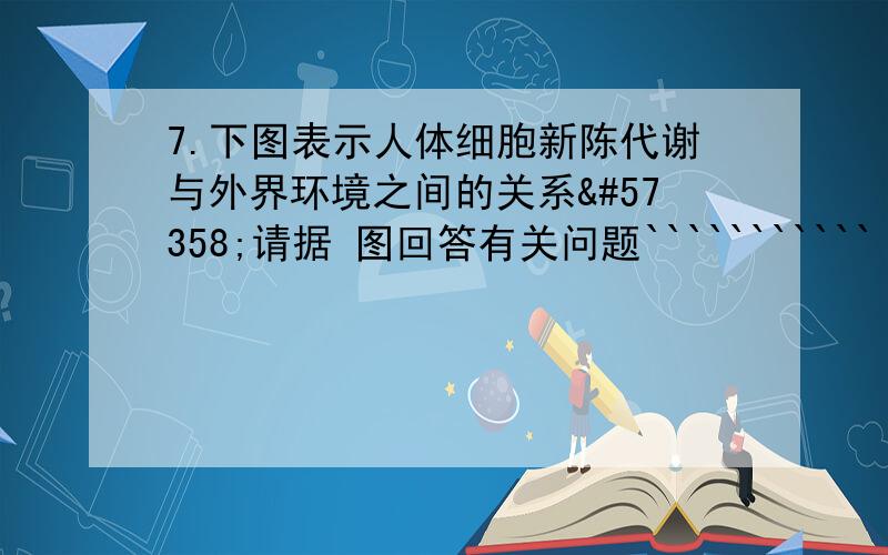 7.下图表示人体细胞新陈代谢与外界环境之间的关系请据 图回答有关问题```````````