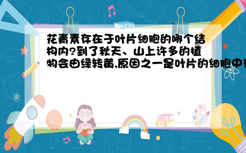 花青素存在于叶片细胞的哪个结构内?到了秋天、山上许多的植物会由绿转黄,原因之一是叶片的细胞中存在花青素,你认为花青素是存