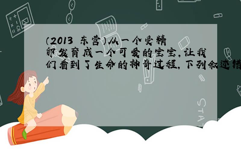 （2013•东营）从一个受精卵发育成一个可爱的宝宝，让我们看到了生命的神奇过程，下列叙述错误的是（　　）