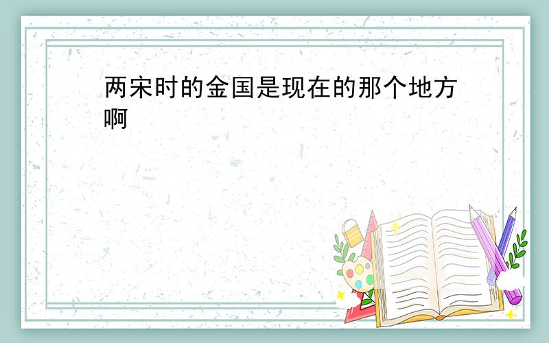 两宋时的金国是现在的那个地方啊