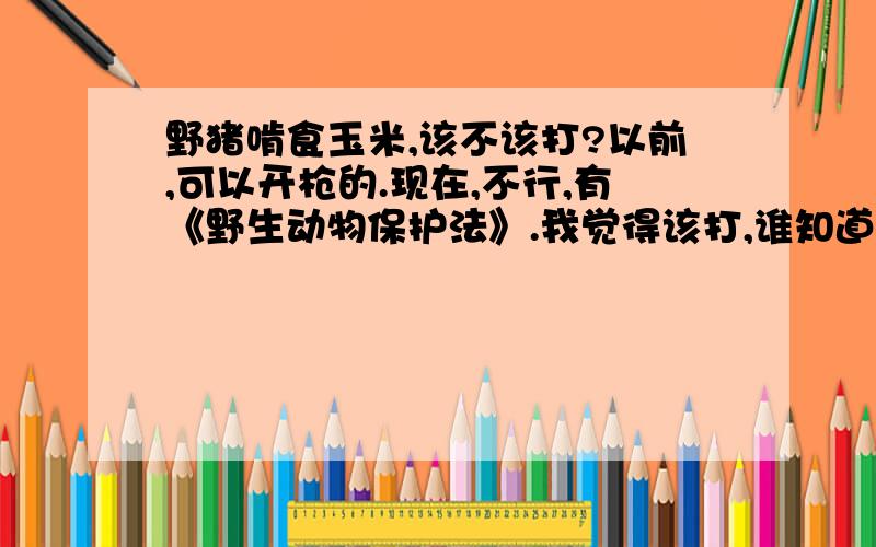 野猪啃食玉米,该不该打?以前,可以开枪的.现在,不行,有《野生动物保护法》.我觉得该打,谁知道理由啊?要多,我要写作文的