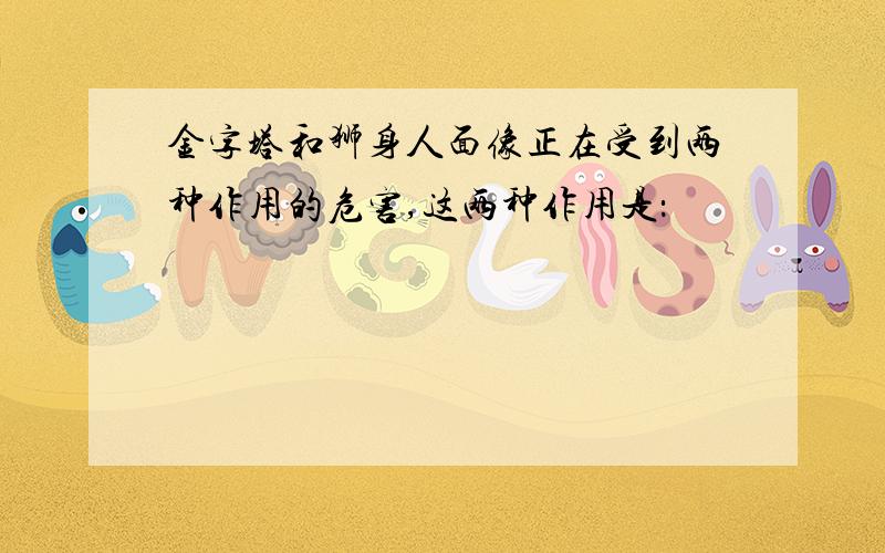 金字塔和狮身人面像正在受到两种作用的危害,这两种作用是：