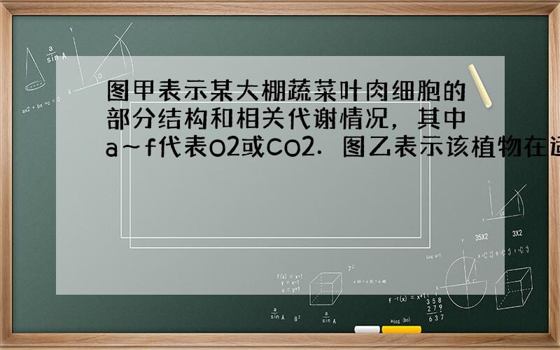 图甲表示某大棚蔬菜叶肉细胞的部分结构和相关代谢情况，其中a～f代表O2或CO2．图乙表示该植物在适宜的条件下O2净产量（