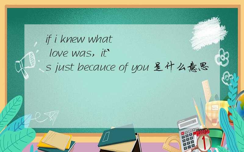 if i knew what love was, it`s just becauce of you 是什么意思