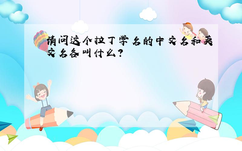 请问这个拉丁学名的中文名和英文名各叫什么?