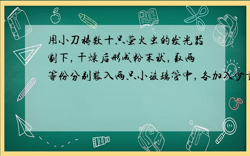 用小刀将数十只萤火虫的发光器割下，干燥后形成粉末状，取两等份分别装入两只小玻璃管中，各加入少量的水，使之混合，可见到玻璃