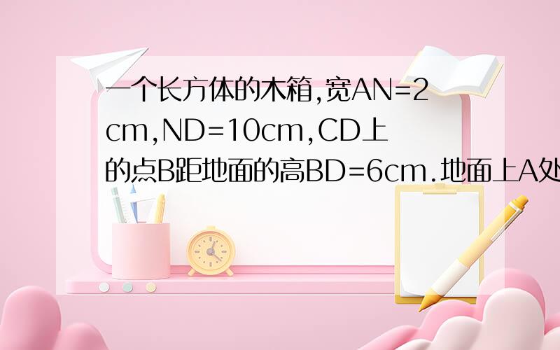 一个长方体的木箱,宽AN=2cm,ND=10cm,CD上的点B距地面的高BD=6cm.地面上A处得一致蚂蚁到B处吃食,要