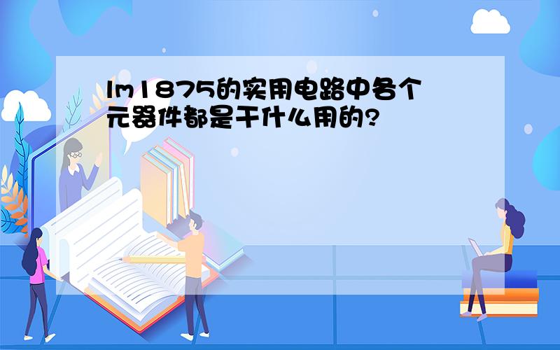 lm1875的实用电路中各个元器件都是干什么用的?