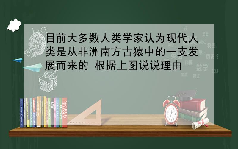 目前大多数人类学家认为现代人类是从非洲南方古猿中的一支发展而来的 根据上图说说理由