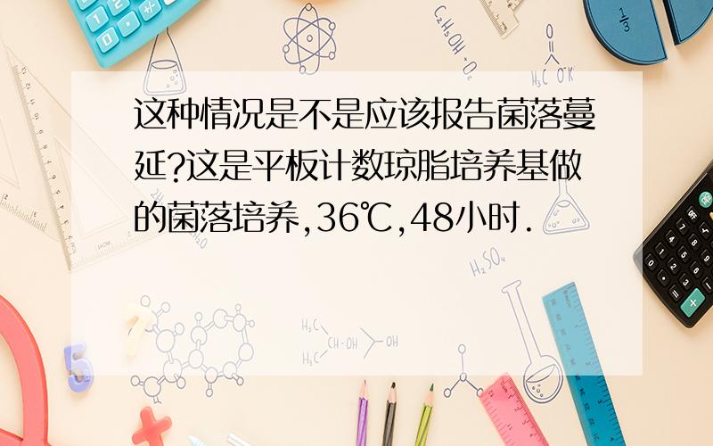 这种情况是不是应该报告菌落蔓延?这是平板计数琼脂培养基做的菌落培养,36℃,48小时.