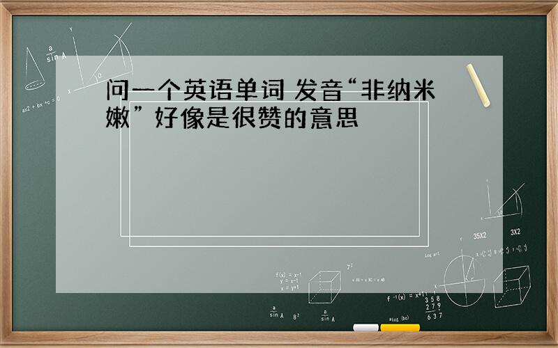 问一个英语单词 发音“非纳米嫩” 好像是很赞的意思