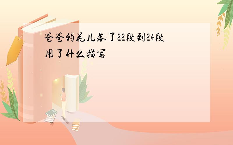 爸爸的花儿落了22段到24段用了什么描写