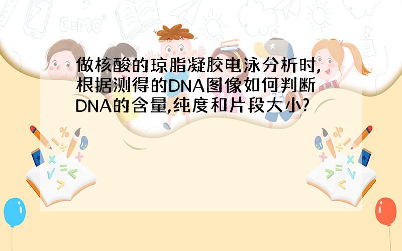 做核酸的琼脂凝胶电泳分析时,根据测得的DNA图像如何判断DNA的含量,纯度和片段大小?