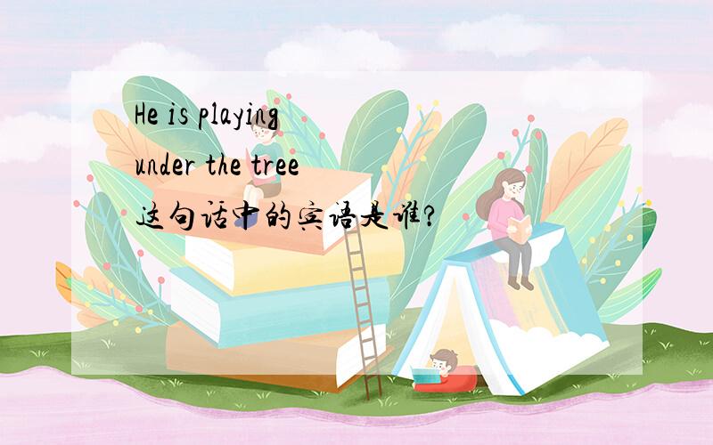 He is playing under the tree这句话中的宾语是谁?