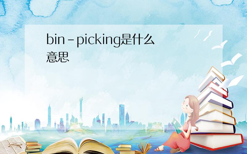 bin-picking是什么意思