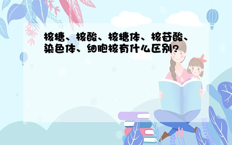 核糖、核酸、核糖体、核苷酸、染色体、细胞核有什么区别?