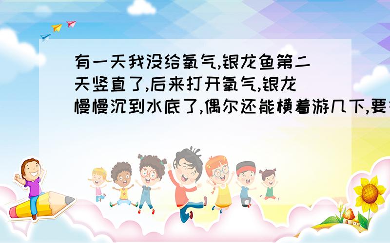 有一天我没给氧气,银龙鱼第二天竖直了,后来打开氧气,银龙慢慢沉到水底了,偶尔还能横着游几下,要好了