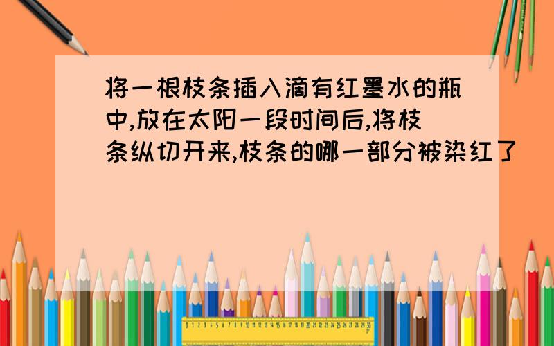 将一根枝条插入滴有红墨水的瓶中,放在太阳一段时间后,将枝条纵切开来,枝条的哪一部分被染红了