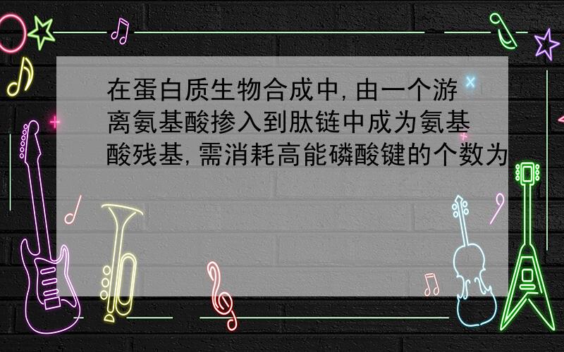 在蛋白质生物合成中,由一个游离氨基酸掺入到肽链中成为氨基酸残基,需消耗高能磷酸键的个数为