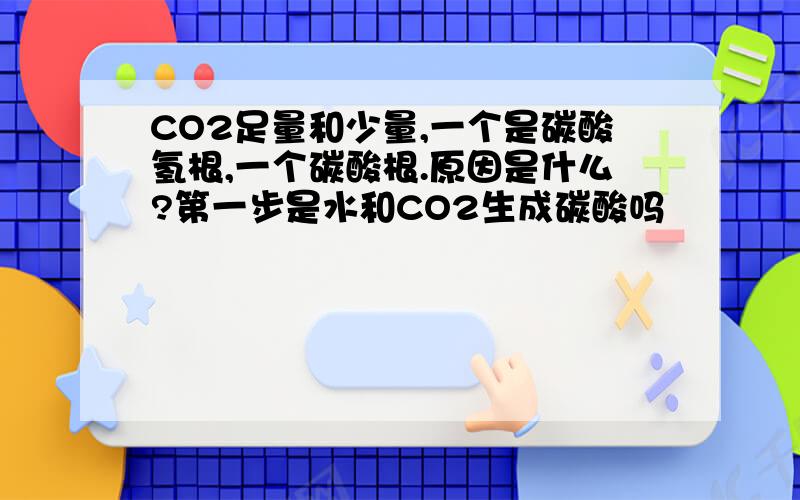 CO2足量和少量,一个是碳酸氢根,一个碳酸根.原因是什么?第一步是水和CO2生成碳酸吗