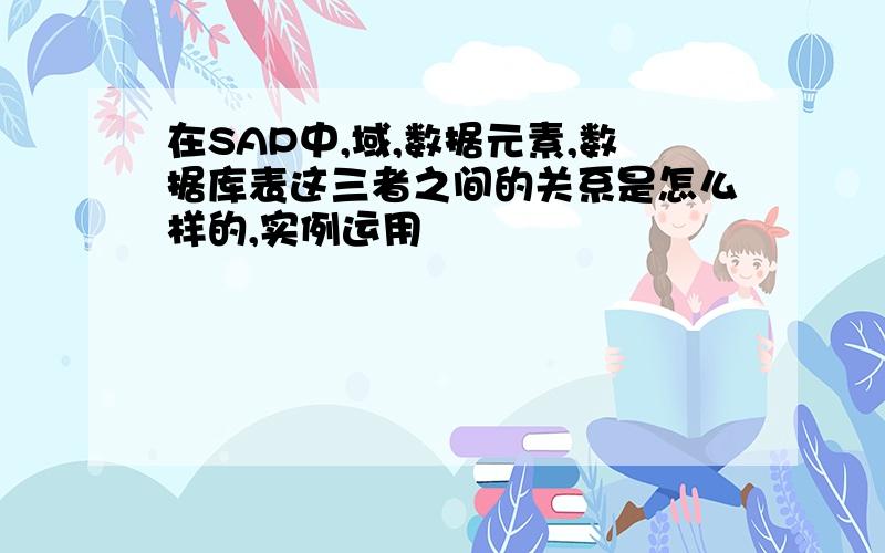 在SAP中,域,数据元素,数据库表这三者之间的关系是怎么样的,实例运用