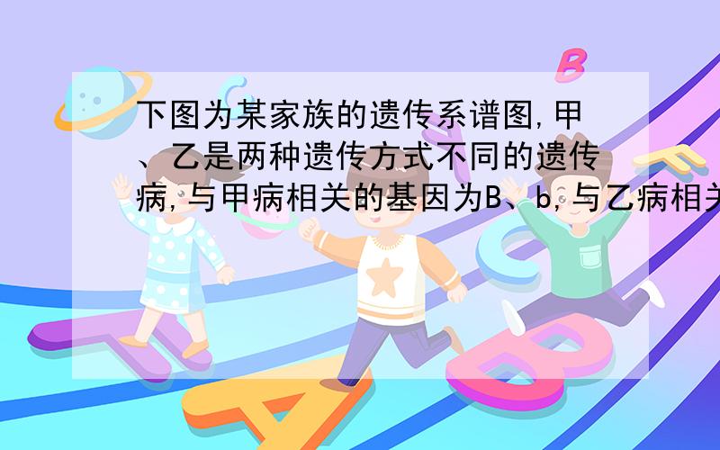 下图为某家族的遗传系谱图,甲、乙是两种遗传方式不同的遗传病,与甲病相关的基因为B、b,与乙病相关的基因