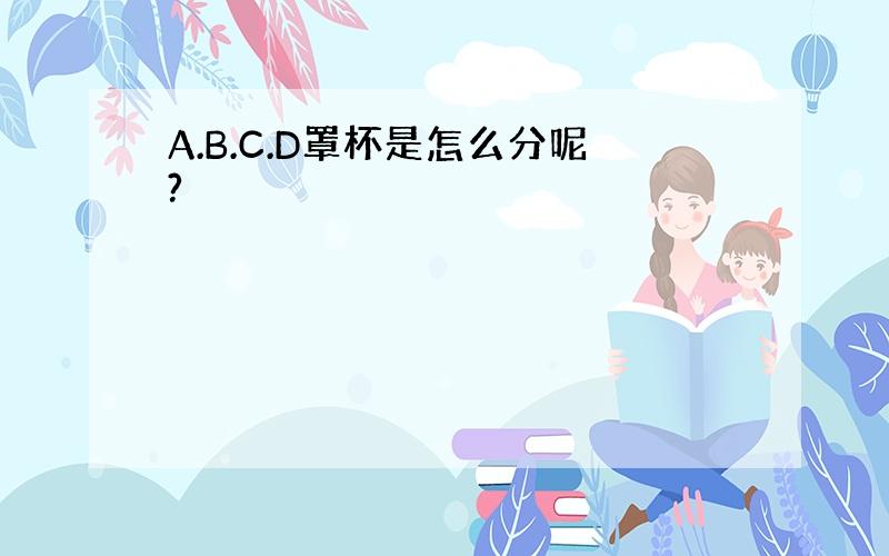 A.B.C.D罩杯是怎么分呢?