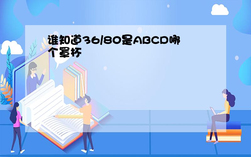 谁知道36/80是ABCD哪个罩杯