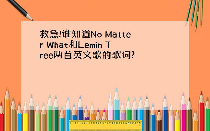 救急!谁知道No Matter What和Lemin Tree两首英文歌的歌词?