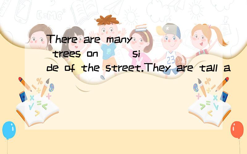 There are many trees on___side of the street.They are tall a