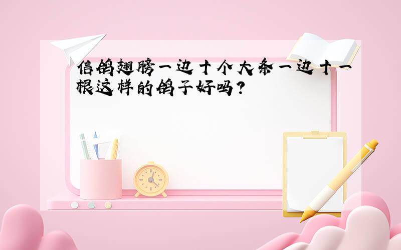 信鸽翅膀一边十个大条一边十一根这样的鸽子好吗?