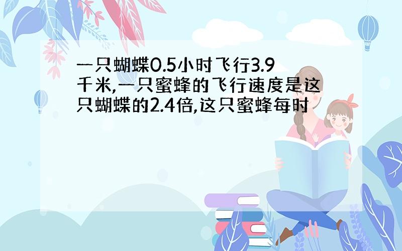 一只蝴蝶0.5小时飞行3.9千米,一只蜜蜂的飞行速度是这只蝴蝶的2.4倍,这只蜜蜂每时