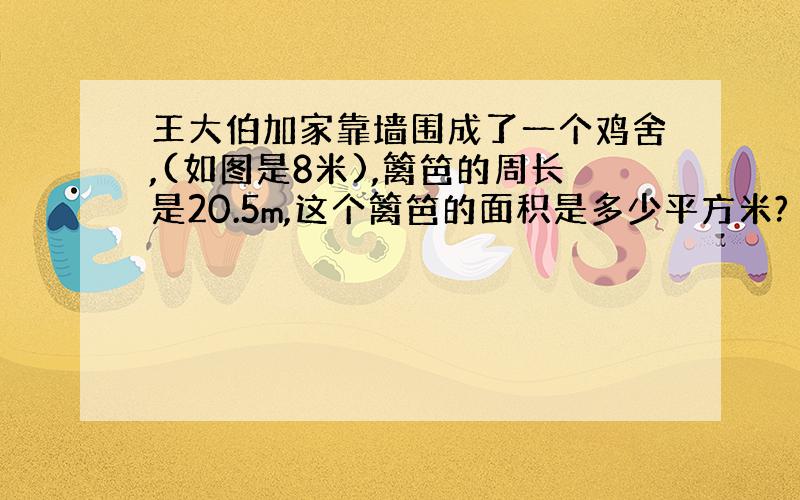 王大伯加家靠墙围成了一个鸡舍,(如图是8米),篱笆的周长是20.5m,这个篱笆的面积是多少平方米?