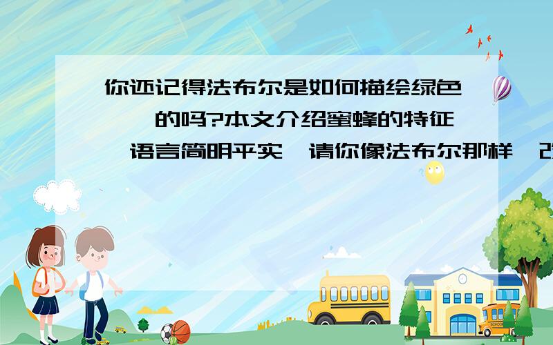 你还记得法布尔是如何描绘绿色蝈蝈的吗?本文介绍蜜蜂的特征、语言简明平实,请你像法布尔那样,改用