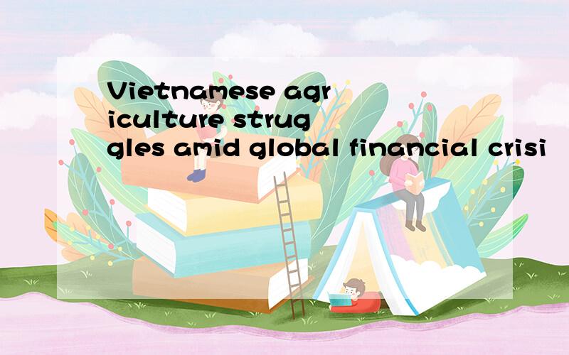 Vietnamese agriculture struggles amid global financial crisi