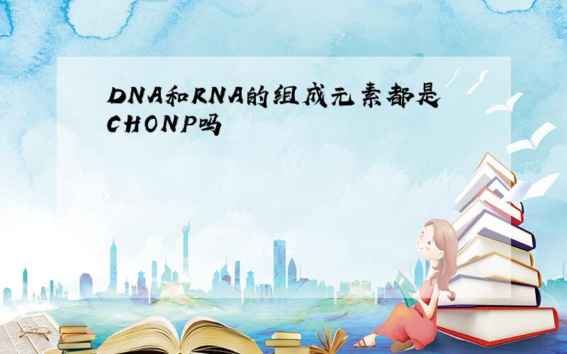 DNA和RNA的组成元素都是CHONP吗