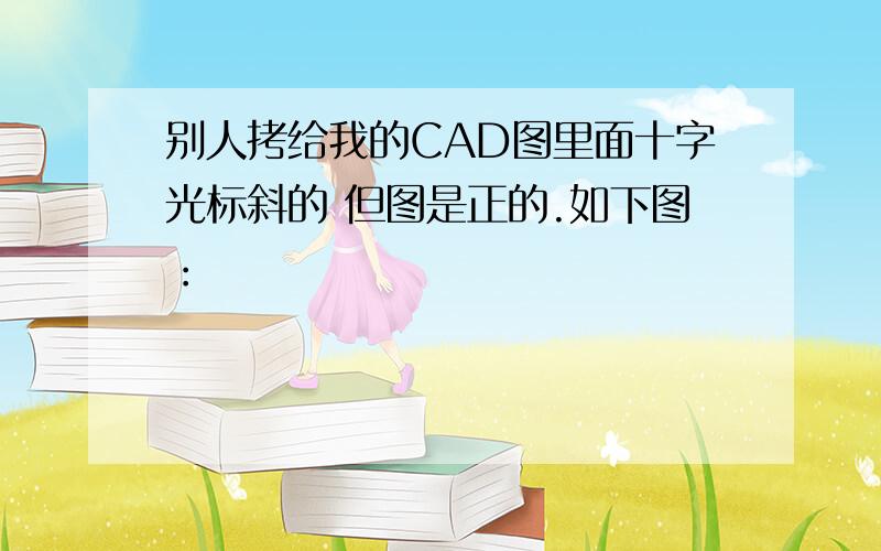 别人拷给我的CAD图里面十字光标斜的 但图是正的.如下图：