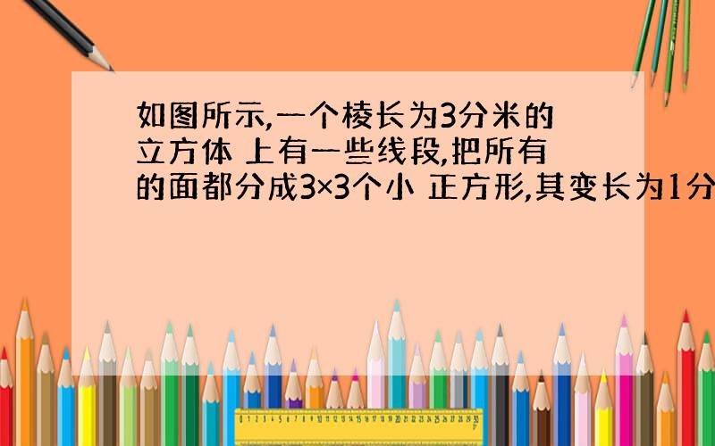 如图所示,一个棱长为3分米的立方体 上有一些线段,把所有的面都分成3×3个小 正方形,其变长为1分米.假