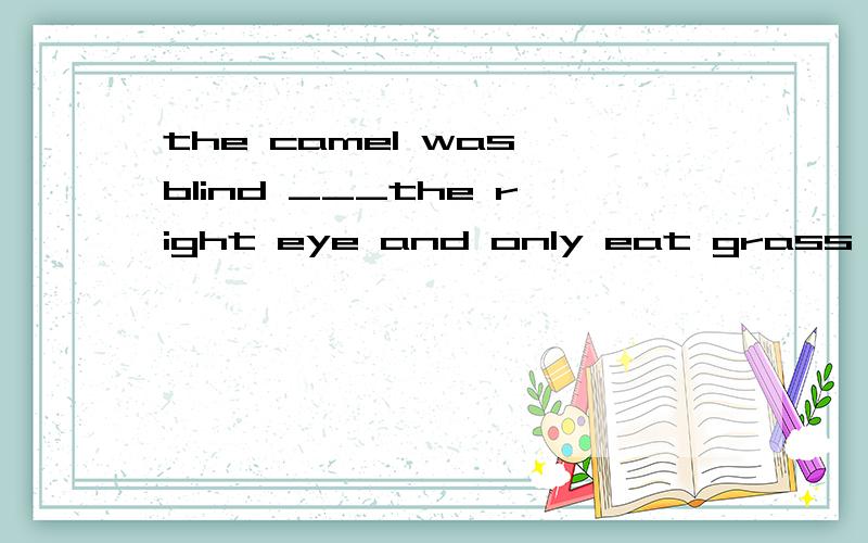 the camel was blind ___the right eye and only eat grass ____