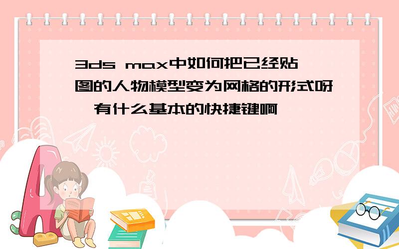 3ds max中如何把已经贴图的人物模型变为网格的形式呀,有什么基本的快捷键啊