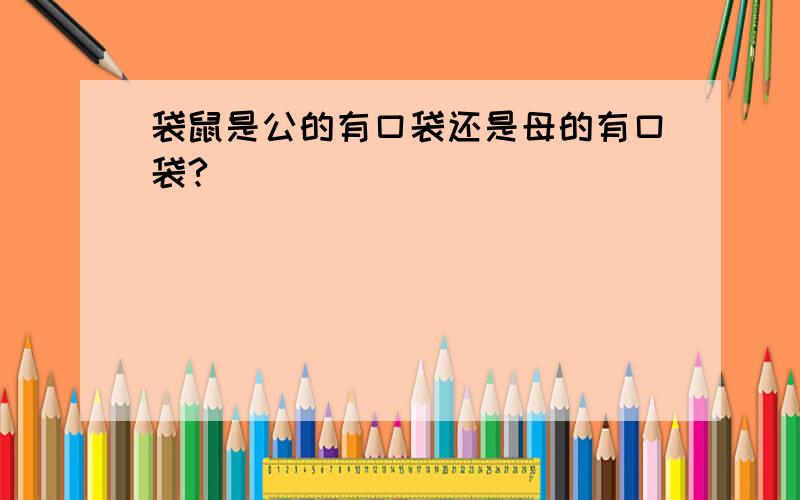 袋鼠是公的有口袋还是母的有口袋?