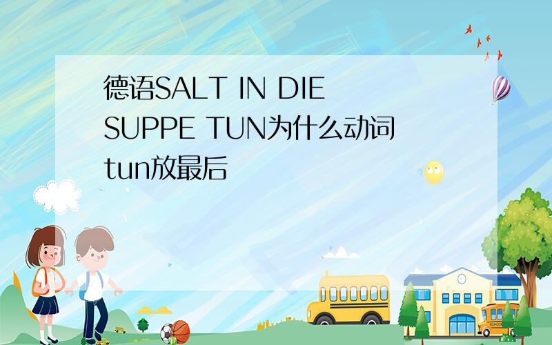 德语SALT IN DIE SUPPE TUN为什么动词tun放最后