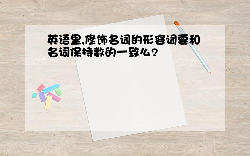 英语里,修饰名词的形容词要和名词保持数的一致么?